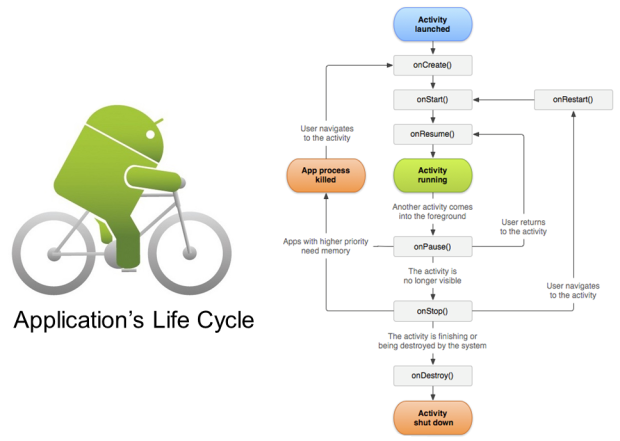 5_Life_cycle_4
